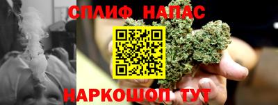 наркотики Гатчина