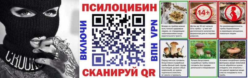 Псилоцибиновые грибы Psilocybe  дарк нет официальный сайт  Майский 