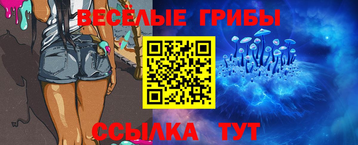 Галлюциногенные грибы прущие грибы  Вход с VPN  Майский 